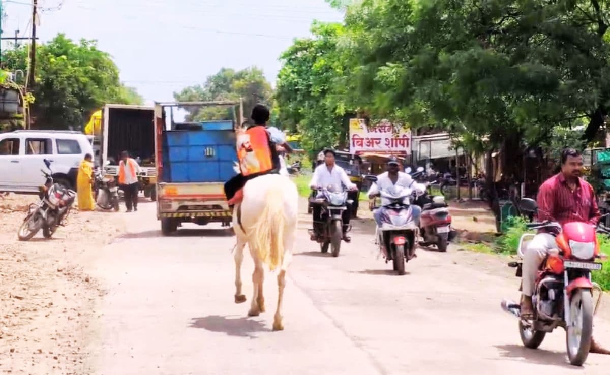 Latest and Breaking News on NDTV Latest and Breaking News on NDTV