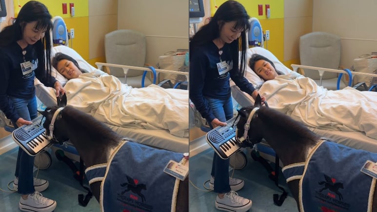 Watch: Therapy Horse Plays Keyboard To Wake Girl From Anaesthesia Watch: Therapy Horse Plays Keyboard To Wake Girl From Anaesthesia