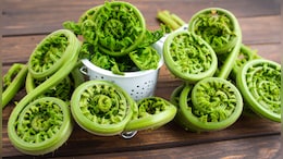 Linguda Benefits: बीपीपासून ते पचनप्रक्रियेसाठी वरदान आहे विचित्र दिसणारी हिरवी भाजी, तुम्हाला माहितीय का नाव?