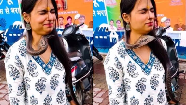 गले में काला नाग डालकर रील बनवा रही थी लड़की, आगे जो हुआ, खराब हुई हालत, यूजर्स ने पूछा- इंश्योरेंस तो है ना? गले में काला नाग डालकर रील बनवा रही थी लड़की, आगे जो हुआ, खराब हुई हालत, यूजर्स ने पूछा- इंश्योरेंस तो है ना?