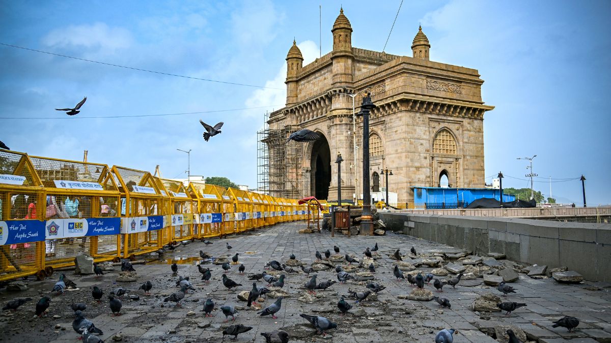 कबूतर बने स्वास्थ्य के लिए खतरा? मुंबई में कबूतरखानों को हटाने पर छिड़ी आस्था बनाम सेहत की जंग, जानें पूरा विवाद