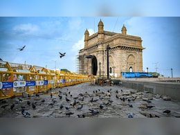 मुंबई में कबूतरखानों को हटाने पर छिड़ी आस्था बनाम सेहत की जंग, जानें पूरा विवाद मुंबई में कबूतरखानों को हटाने पर छिड़ी आस्था बनाम सेहत की जंग, जानें पूरा विवाद