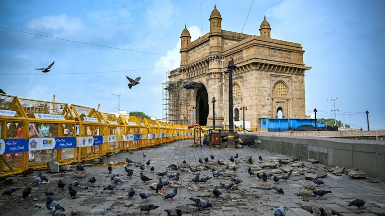 मुंबई में कबूतरखानों को हटाने पर छिड़ी आस्था बनाम सेहत की जंग, जानें पूरा विवाद मुंबई में कबूतरखानों को हटाने पर छिड़ी आस्था बनाम सेहत की जंग, जानें पूरा विवाद
