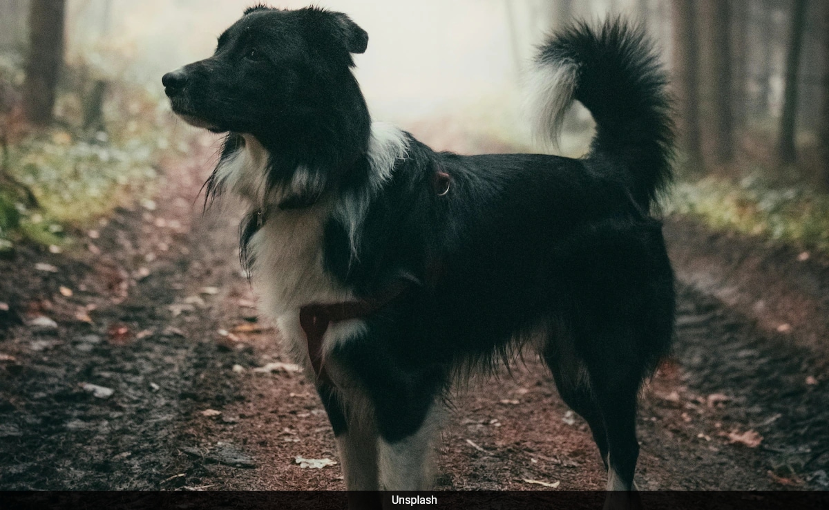 Докато оглушителен тътен разтърси дома им по време на мощен