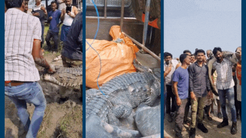 Latest and Breaking News on NDTV Latest and Breaking News on NDTV