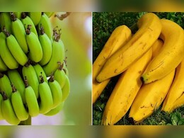 पका या कच्चा केला सेहत के लिए क्या है ज्यादा बेहतर, जानें किन लोगों को करना चाहिए इसका सेवन पका या कच्चा केला सेहत के लिए क्या है ज्यादा बेहतर, जानें किन लोगों को करना चाहिए इसका सेवन