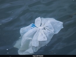 Scientists Develop Biodegradable Plastics That Can Dissolve In Seawater Or Soil Scientists Develop Biodegradable Plastics That Can Dissolve In Seawater Or Soil