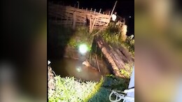 Tiger Rescue: कान्हा रिजर्व के अधिकारियों ने बाघों का किया रेस्क्यू, खाट की मदद से कुएं से बाहर आया बाघ