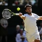 Carlos Alcaraz vs Jannik Sinner LIVE Streaming, Wimbledon Final LIVE Telecast: When And Where To Watch