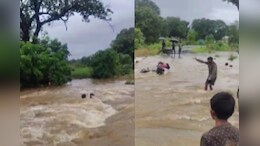 Flood in MP: पुल पर तेज पानी में बह गए तीन युवक, पेड़ की टहनी से मिला सहारा, ऐसे बची जान
