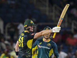 Glenn Maxwell Flops Again But Mitch Owen's Debut Fifty Earns Australia Win Over West Indies