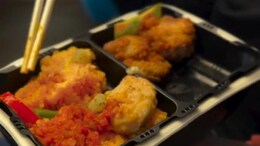 Watch: Passenger Enjoys Self-Heating Bento Box On Japan's Bullet Train. Foodies Are Impressed