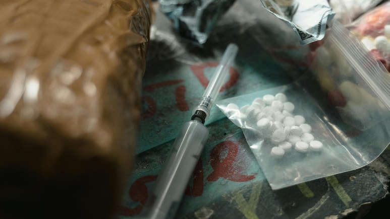 How Pigs, High-Tech Tools Can Help In Search For Mexican Drug Cartel Victims