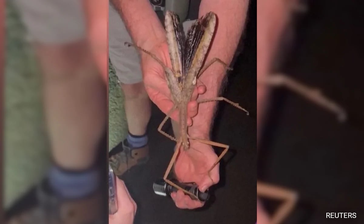 В отдалечена тропическа гора в Австралия дом на смъртоносни змии