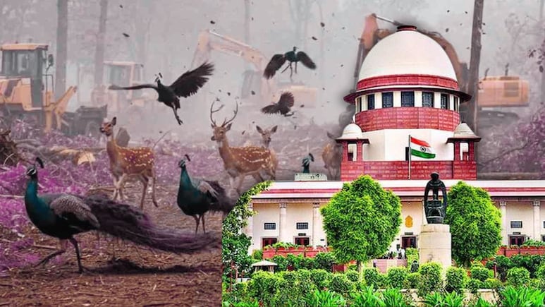 'विकास जरूरी, पर क्‍या रातोंरात जंगल नष्‍ट कर देंगे...', तेलंगाना में पेड़ों की कटाई पर सुप्रीम कोर्ट