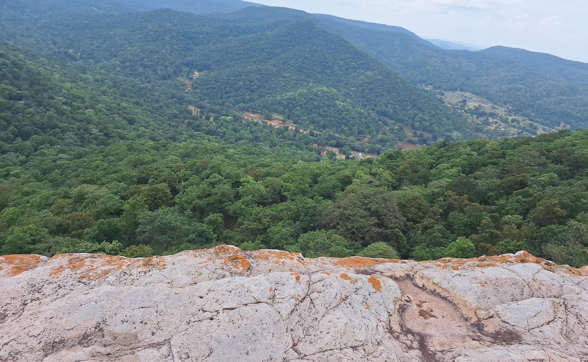 Add image caption here Add image caption here