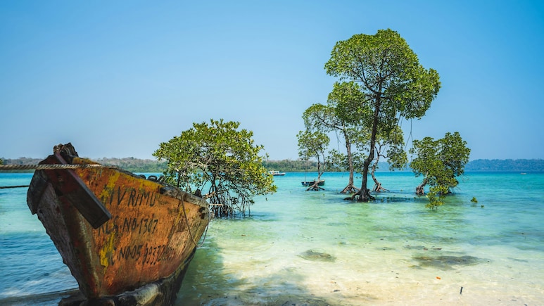 Andaman Seeks UNESCO World Heritage Tag For India's Only Active Volcano and 3 Other Natural Wonders Andaman Seeks UNESCO World Heritage Tag For India's Only Active Volcano and 3 Other Natural Wonders