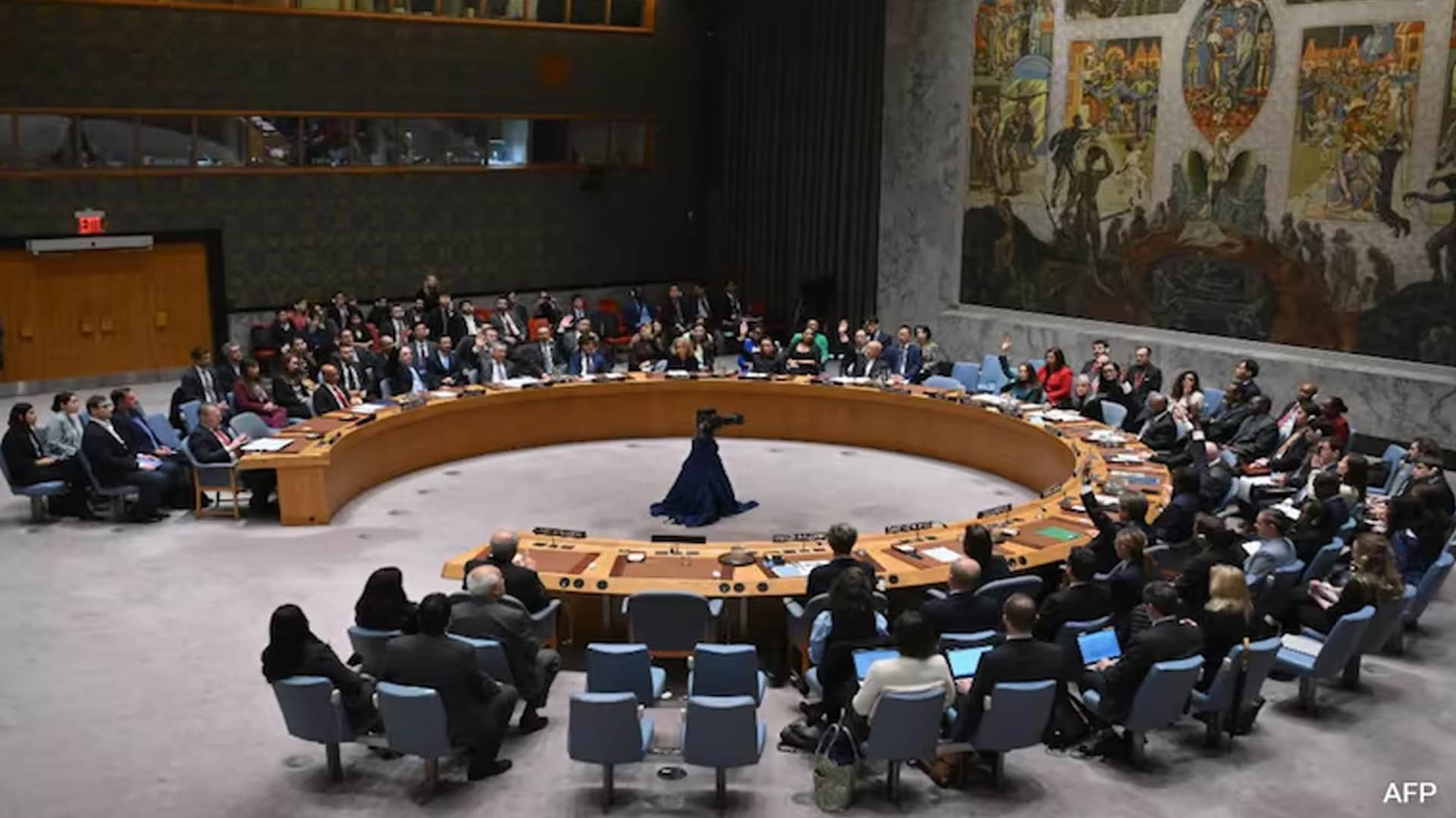 India's "Serial Borrower From IMF" Jibe At Pakistan During UN Debate