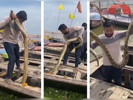 नाव में बैठते ही दिखा 10 फीट लंबा अजगर, चीख-पुकार के बीच रेस्क्यू टीम ने ऐसे निकाला बाहर नाव में बैठते ही दिखा 10 फीट लंबा अजगर, चीख-पुकार के बीच रेस्क्यू टीम ने ऐसे निकाला बाहर