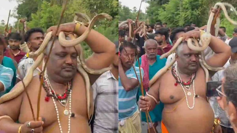 Watch: Devotees Carry Snakes During 'Nag Panchami' Fair In Bihar