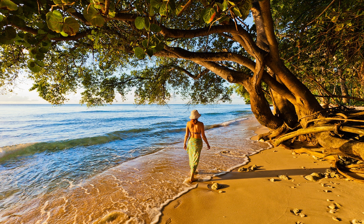 Barbados. Photo: iStock Barbados. Photo: iStock