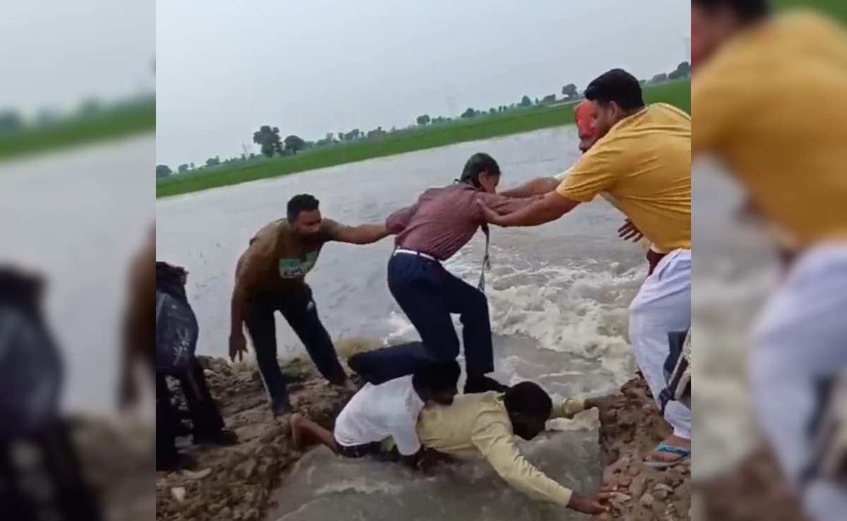 2 Men Form Human Bridge, Help 35 Children Cross Flooded Field In Punjab
