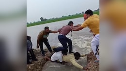 Video: A Human Bridge For Schoolchildren To Cross Flooded Field In Punjab