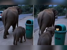 जब हाथी का बच्चा बना स्वच्छता का दूत, डस्टबिन में डाला कचरा, इंसानों को सिखाया सफाई का असली मतलब जब हाथी का बच्चा बना स्वच्छता का दूत, डस्टबिन में डाला कचरा, इंसानों को सिखाया सफाई का असली मतलब