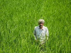 Top 6 Central Schemes Fuelling Farmer Welfare: Rs 6,000 Aid, Low-Cost Loans, And Rs 3,000 Pension