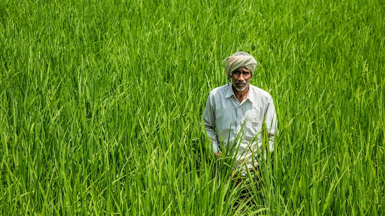 Top 6 Central Schemes Fuelling Farmer Welfare: Rs 6,000 Aid, Low-Cost Loans, And Rs 3,000 Pension Top 6 Central Schemes Fuelling Farmer Welfare: Rs 6,000 Aid, Low-Cost Loans, And Rs 3,000 Pension