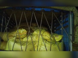खाद संकट पर उबल पड़े किसान: रहली में चक्काजाम, खंडवा में तस्करी पकड़ी गई, बड़वानी में विधायक पहुंचे मैदान में खाद संकट पर उबल पड़े किसान: रहली में चक्काजाम, खंडवा में तस्करी पकड़ी गई, बड़वानी में विधायक पहुंचे मैदान में