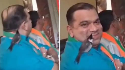 पीएम मोदी पक्षियों पर बोल रहे थे, तभी 'मन की बात' सुनते समय मंत्री के कंधे पर बैठा परिंदा