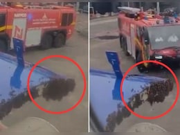 VIDEO: Indigo की फ्लाइट बनी मधुमक्खियों का अड्डा, टेकऑफ में एक घंटे की देरी VIDEO: Indigo की फ्लाइट बनी मधुमक्खियों का अड्डा, टेकऑफ में एक घंटे की देरी