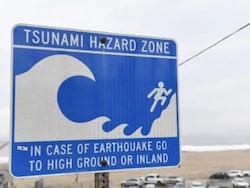 2011 Tsunami Recap: When 40-Metre Waves Crashed Into Japan Coasts