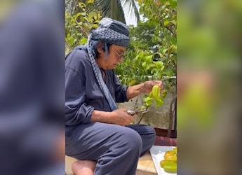 Watch: Ranjeet Plucks Lemons, Star Fruits From Home Garden For Chutney Preparation Watch: Ranjeet Plucks Lemons, Star Fruits From Home Garden For Chutney Preparation