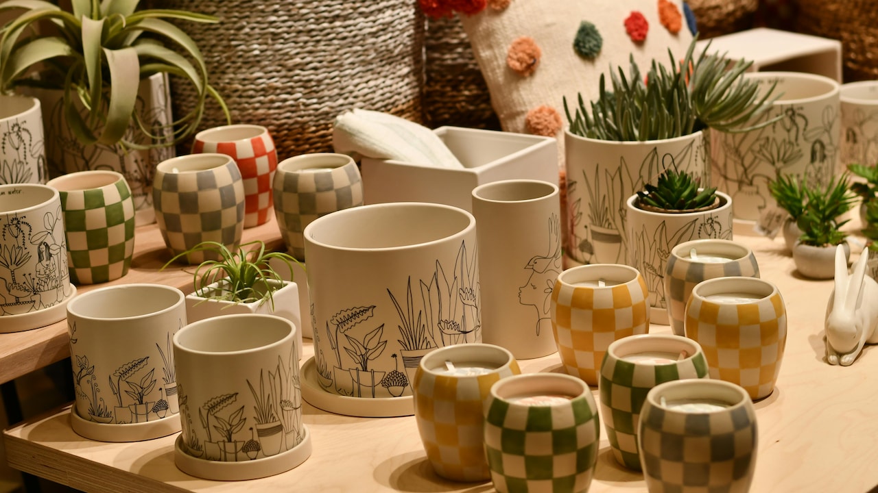 Unlike plastic ones, ceramic planters dont trap heat and allow your plants to breathe properly