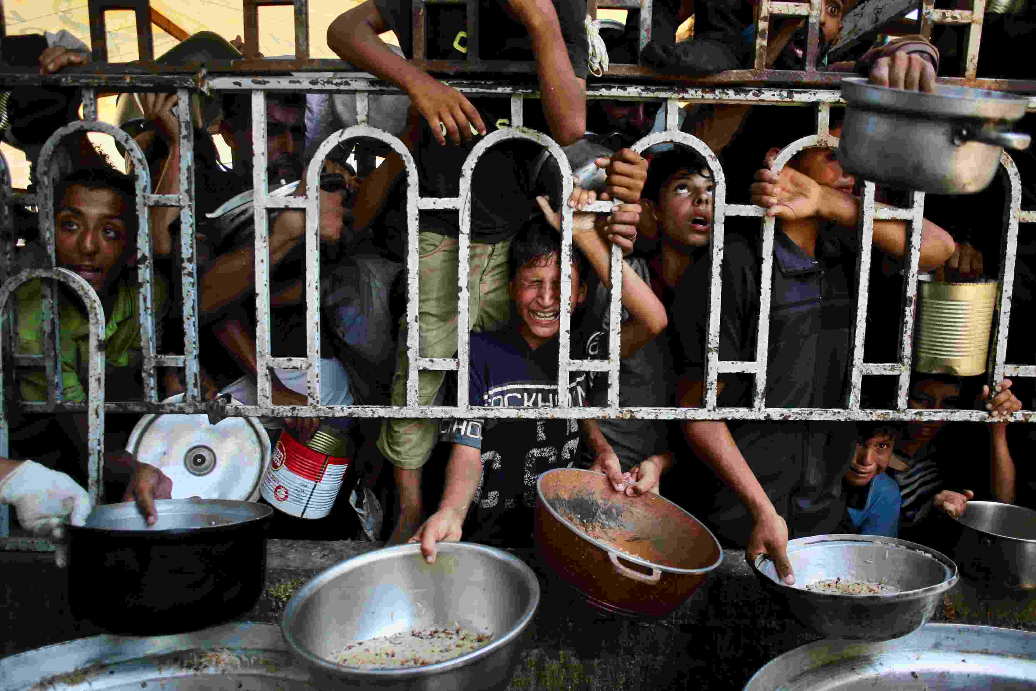 "Should Haunt Us All": UN Confirms Famine In Gaza, 1st Ever In Middle East