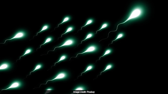 Think Your Sperm Is Healthy? Nutritionist Shares Sperm Health Factors That Standard Tests Often Miss