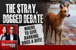 Not A Stray Issue, Needs Dogged Effort To Solve Not A Stray Issue, Needs Dogged Effort To Solve