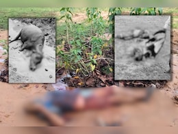 एमपी में भालू ने तीन लोगों को मार डाला, आक्रोशित ग्रामीणों ने भालू को भी उतारा मौत के घाट एमपी में भालू ने तीन लोगों को मार डाला, आक्रोशित ग्रामीणों ने भालू को भी उतारा मौत के घाट
