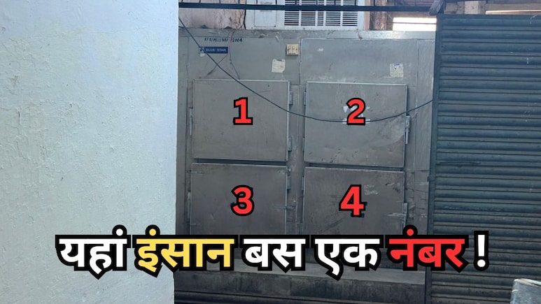 NDTV Exclusive: ये क़ब्रिस्तान या श्मशान नहीं...गुमनाम मौतों का जंगल है...जहां इंसानियत रोज़ दम तोड़ती है