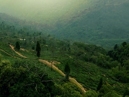 Darjeeling Is A Vibe In Monsoon. Here's Why You Should Plan A Trip
