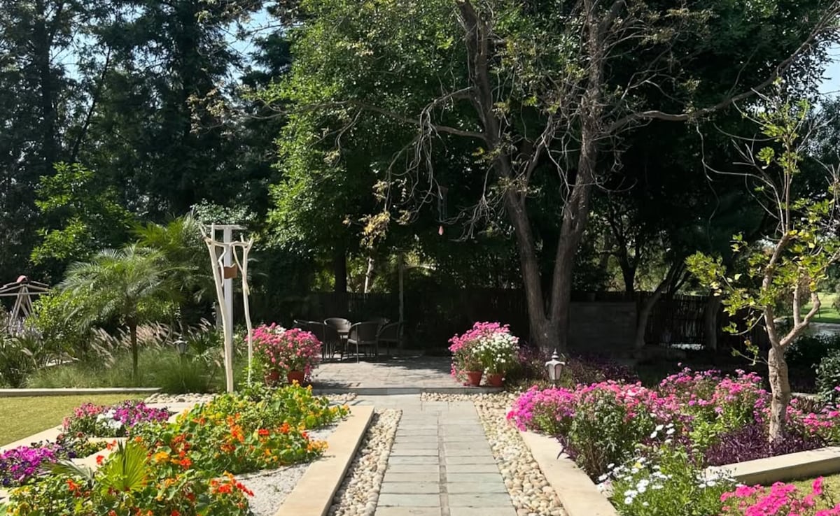 Latest and Breaking News on NDTV Latest and Breaking News on NDTV