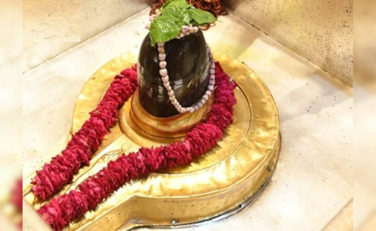 Latest and Breaking News on NDTV