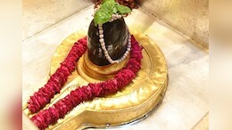Sawan 2025: महादेव को क्यों प्रिय है भांग, आक और धतूरा? &lsquo;नीलकंठ&rsquo; से है कनेक्शन