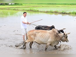 उत्तराखंड CM धामी ने खटीमा में की धान रोपाई, किसानों के श्रम को किया नमन उत्तराखंड CM धामी ने खटीमा में की धान रोपाई, किसानों के श्रम को किया नमन
