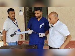 Video: Doctor Performs Surgery On 8-Foot Long Cobra In Rajasthan Video: Doctor Performs Surgery On 8-Foot Long Cobra In Rajasthan