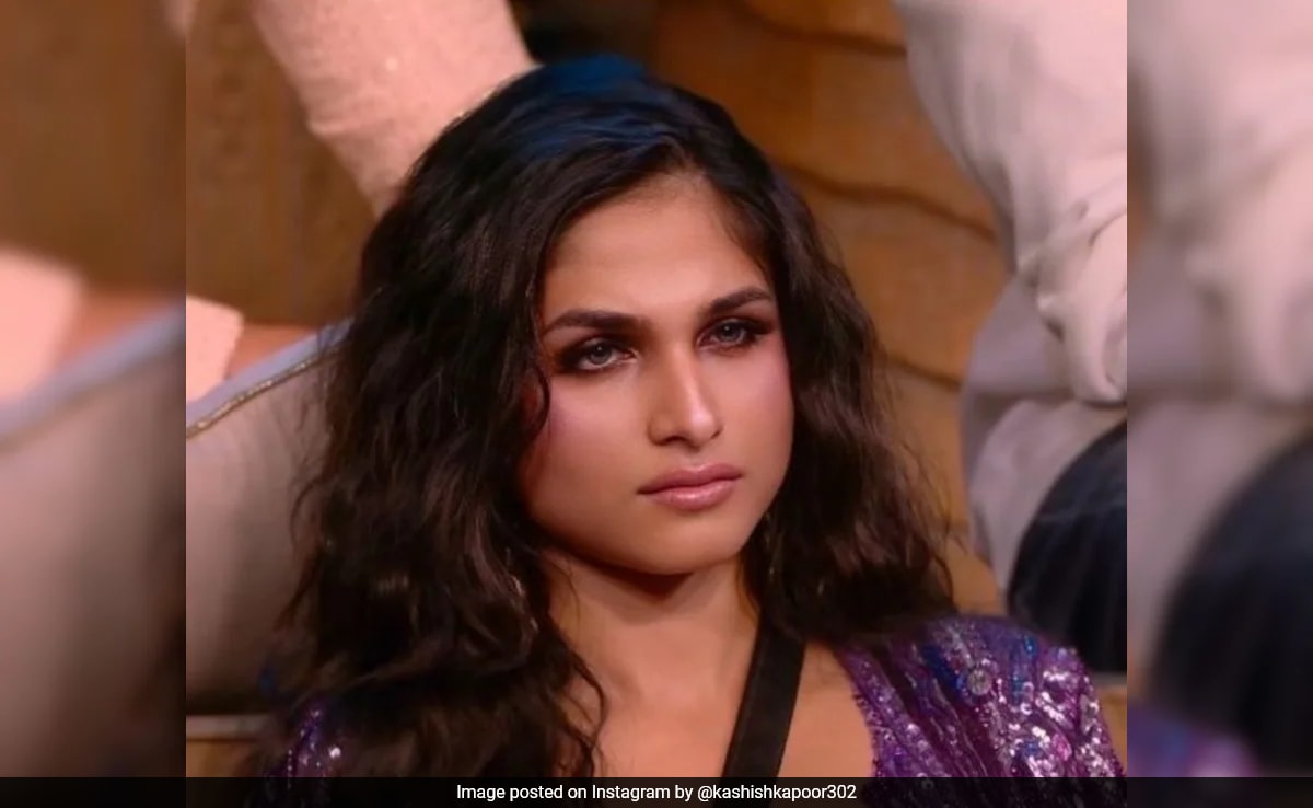 Theft At 'Bigg Boss 18' Fame Kashish Kapoor's House, Rs 4.5 Lakh Stolen