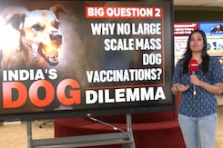 India's Dog Dilemma | NDTV Asks The Real Questions India's Dog Dilemma | NDTV Asks The Real Questions