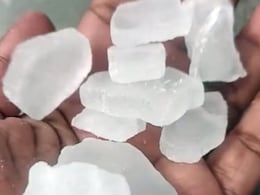 क्या आपका कपूर असली है, ऐसे करें असली कपूर की पहचान